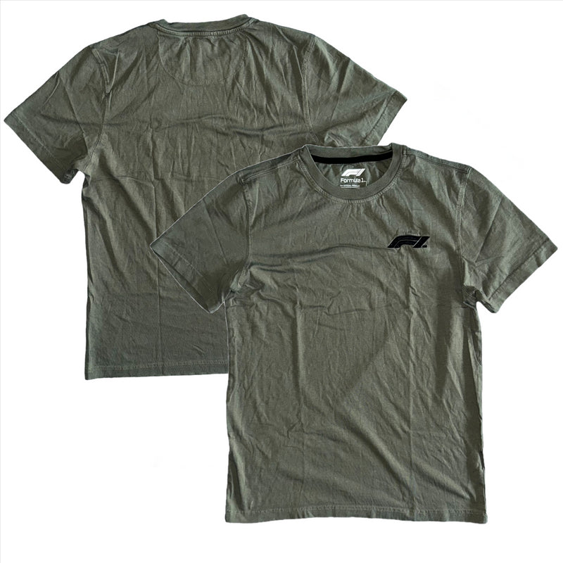 Formula 1 Men's T-Shirt Small Logo Green T-Shirt