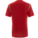Al Ahly Home Shirt Men's Football Nike 2024 Top