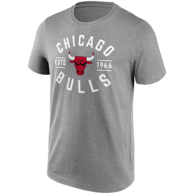 Chicago Bulls NBA T-Shirt Men's True Classic Grey Top