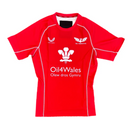 Men's Scarlets Rugby Jersey Castore Scrummage Top