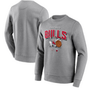 Chicago Bulls NBA Hoodie Men's Hoodie Sweatshirt Top