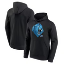Detroit Lions NFL Sweatshirt Men's Hoodie/Sweatshirt