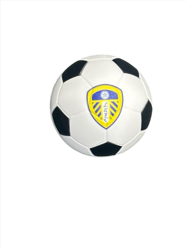 Leeds United Football Sensory Pack