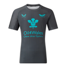 Scarlets Rugby Men's Shirt Castore Scrummage Jersey