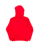 Scarlets Kid's Rugby Hoodie Castore Core Logo Training Top