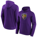 Baltimore Ravens NFL Sweatshirt Men's Hoodie/Sweatshirt
