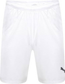 Puma Men's White Shorts Core Match Shorts