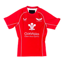 Scarlets Men's Red Jersey Castore Scrummage Shirt