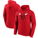 Chicago Bulls NBA Hoodie Men's Hoodie Sweatshirt Top