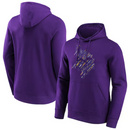 Minnesota Vikings NFL Sweatshirt Men's Hoodie/Sweatshirt