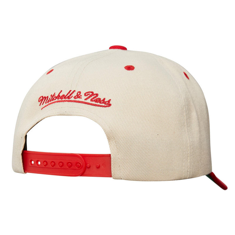 Chicago Bulls NBA Snapback Men's Mitchell & Ness Cap