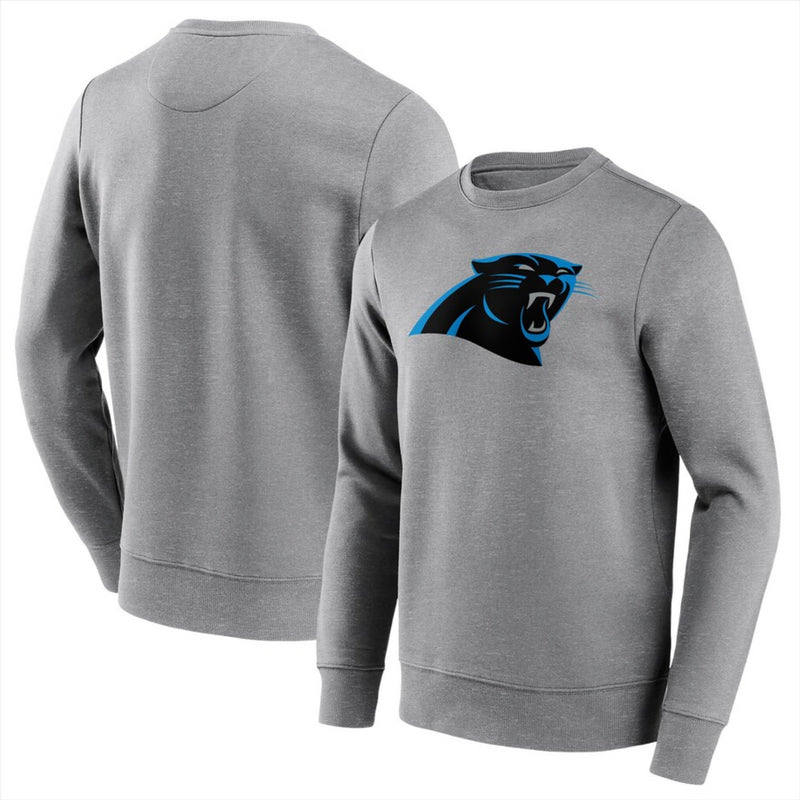 Carolina Panthers NFL Hoodie Sweatshirt Men's Fanatics Top