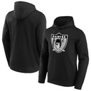 Las Vegas Raiders NFL Sweatshirt Men's Hoodie/Sweatshirt