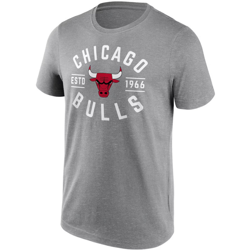 Chicago Bulls Graphic Top Men's True Classics Grey Top