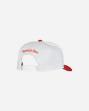 Chicago Bulls NBA Snapback Men's Mitchell & Ness Cap