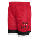 Chicago Bulls Kid's Shorts Basketball Mesh Shorts
