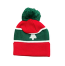 Lebanon Cedars Men's Beanie Rugby HardGear Bobble Hat