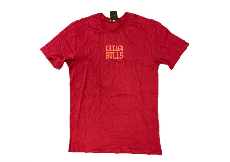Chicago Bulls Men's T-Shirt NBA Back Print Logo Top