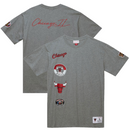 Chicago Bulls NBA T-Shirt Men's M&N City Collection Top - New
