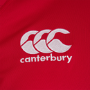 British & Irish Lions Jersey Rugby Canterbury Pro Jersey