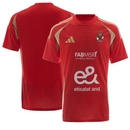 Al Ahly Home Shirt Men's Football Nike 2024 Top