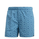 adidas Men's Swimming Trunks Blue Shorts